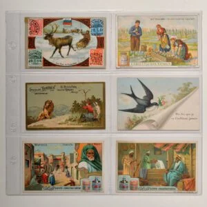 Liebig set van 10 stuks transparante bladen 6 vakken horizontaal (vakmaat 72 x 120 mm) voor o.a. carte de visite en bidprentjes