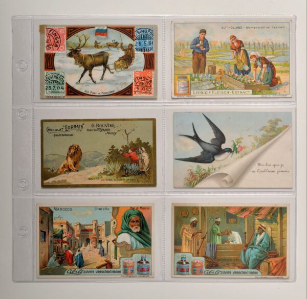 Liebig set van 10 stuks transparante bladen 6 vakken horizontaal (vakmaat 72 x 120 mm) voor o.a. carte de visite en bidprentjes