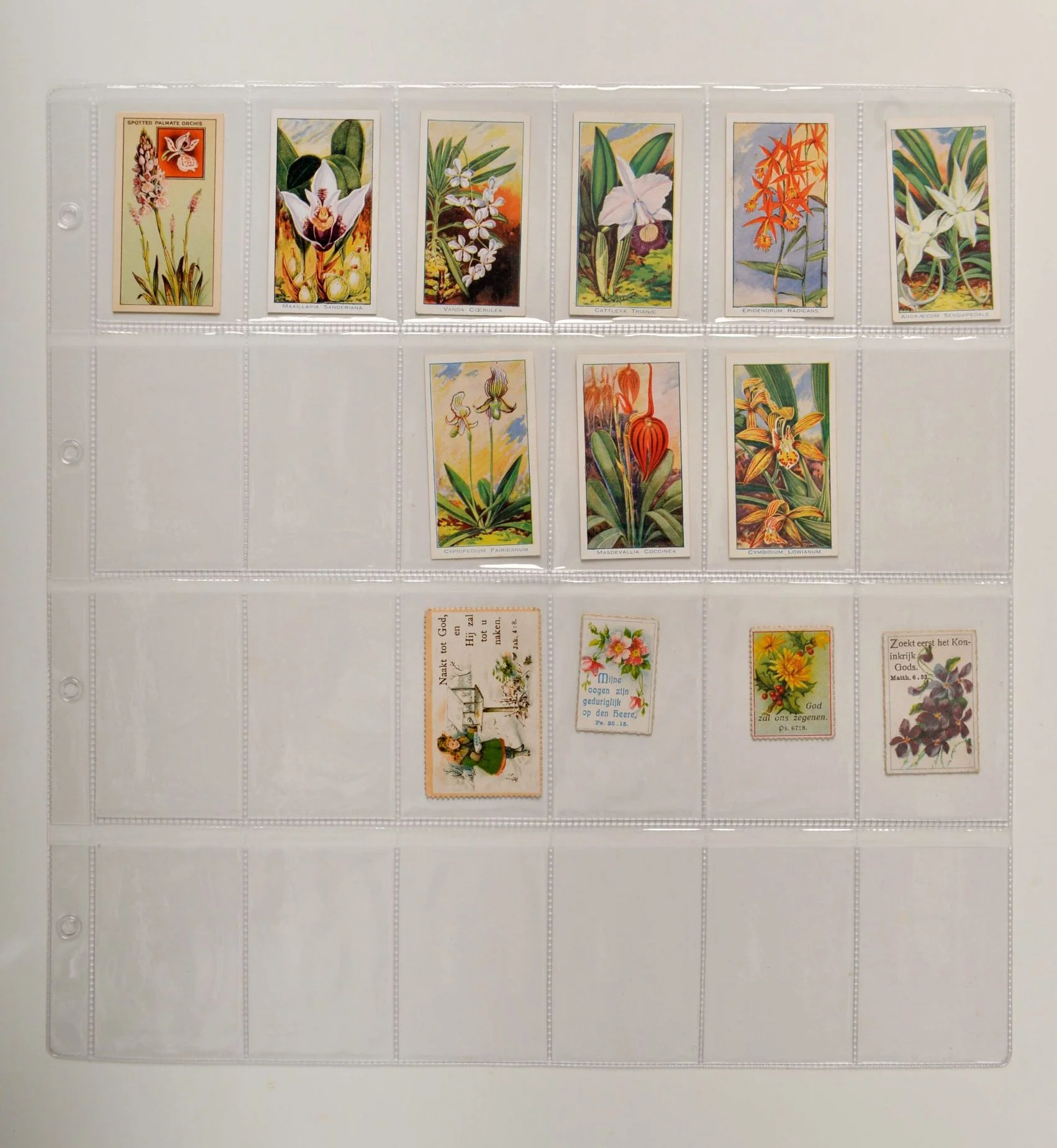 Post set van 10 stuks transparante bladen 24 vakken (vakmaat 71 x 47 mm) voor o.a. reclameplaatjes