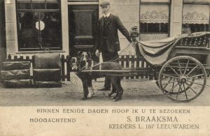 Hoe berg je een verzameling op