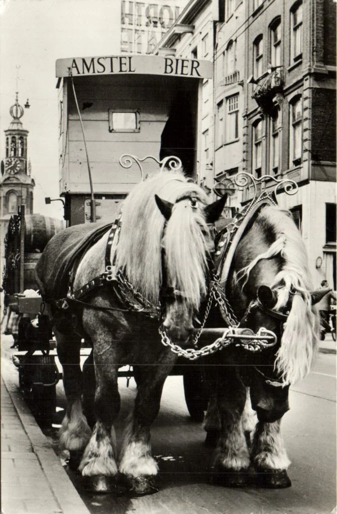 Ansichtkaarten verzamelen